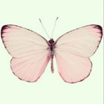 10362351_719072198238008_1750646762_a