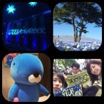 11190133_683178555121224_584894291_a