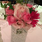 11427406_894183373980572_884193870_a