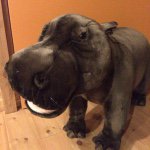 11138062_1568949603392460_1572070251_a