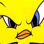 11372430_852668328140874_1677814262_a