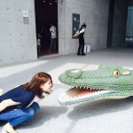 11335549_356612737883419_877885678_a