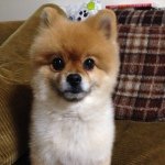 Profile_1117139481_75sq_1393143396