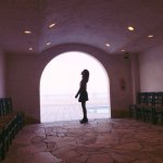 11055534_351339825072024_171348289_a