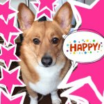 1741535_341860616008189_1839616574_a