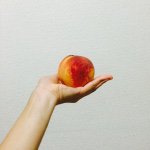 10950532_608625952572211_1183732229_a