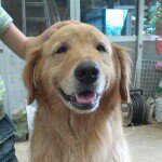 10611012_278271852372892_2084866122_a