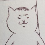 11283261_565715680197606_951754028_a