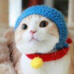 Profile_1245671247_75sq_1397227078