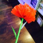 11269608_688509947943834_571829106_a