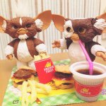 11199511_1432587490380075_8614001_a