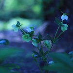 11176580_550140478462153_938231207_a