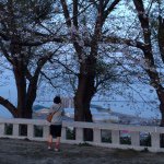 11199433_1437844166512141_628541026_a