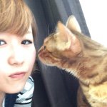 11351523_472865389538916_1757388137_a