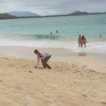 10802843_856544304385996_1057764278_a