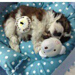 11373848_134873260184360_376613096_a