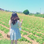 11208025_1622455517990933_1746561369_a