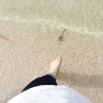 11282292_959313857426195_65522020_a