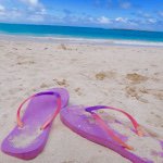 11374692_696658723772788_1779146832_a