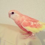 Profile_13412834_75sq_1358889485