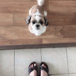 11326725_1616324278635729_1519688036_a