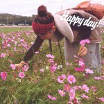 11055451_567988563303699_1931409011_a