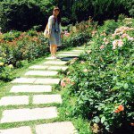 10881915_1608473152770503_2108294377_a