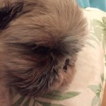 10932086_813420398718876_279363732_a