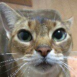 10755818_851715741526435_1210429337_a