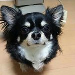 10471974_782008388499727_1873303841_a