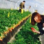 11189829_1589449578000803_1460206603_a