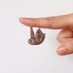 11376389_1455920668041630_2028306319_a