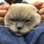 10735281_284054178458563_715721730_a