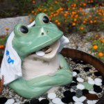 11325389_1417159865278336_543808074_a