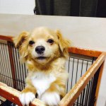 11098527_439943506164860_1416871154_a