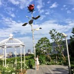 11376705_1680593752163898_1116211196_a