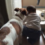 11236312_837536092948287_673650116_a