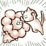 11195868_384162101771716_1131293911_a