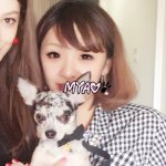 11419039_1420028378326222_150548652_a