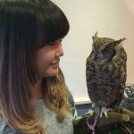 914473_1490187587893076_868788904_a