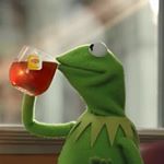 11335498_1600419523516309_227344048_a