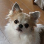 10725206_711358892279335_1756147317_a