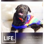 10990644_741017392682518_1094227297_a