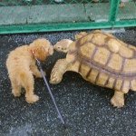 Profile_2108212_75sq_1393516333