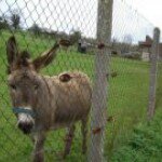 Profile_269857328_75sq_1355738578