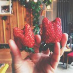 10949096_408732935970073_1241368517_a