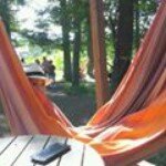 926239_263789223825420_1071524497_a