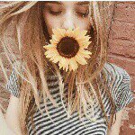 11355816_1629570283949926_593982874_a