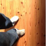 891519_1540289506219831_1082996331_a