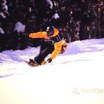 11243554_794574040638911_957817676_a